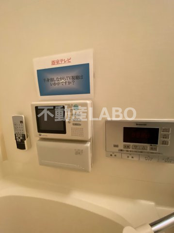 ラムール波除のその他