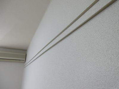 フレンズのその他