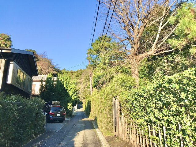 雪ノ下　鶴岡八幡宮の山の手閑静な住環境 戸建の前面道路含む現地写真|鶴岡八幡宮と隣接する地域です。