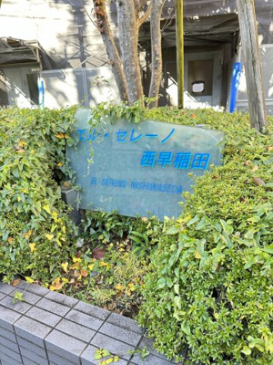 【庭】 | エル・セレーノ西早稲田