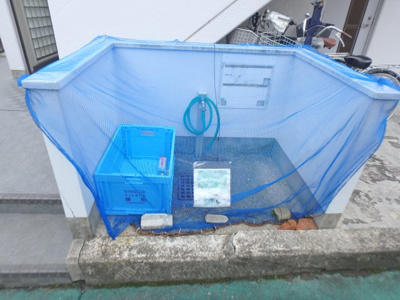 【その他共用部分】 | アイビーコートⅡ | ゴミ置き場