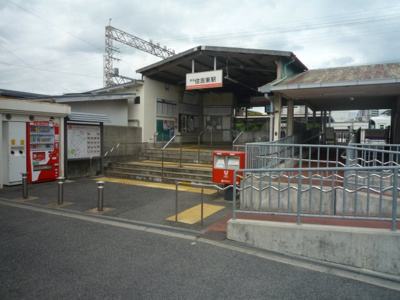 【周辺】 | 住吉区墨江1丁目　新築戸建て | 南海高野線　住吉東駅