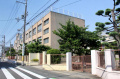 【周辺】 | 住吉区墨江1丁目　新築戸建て | 大阪市立墨江小学校
