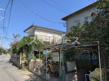 セノーテの画像