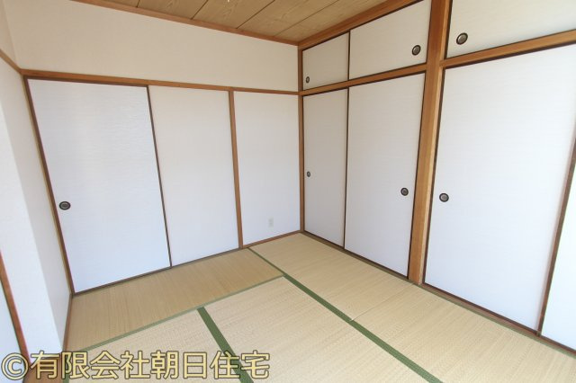 アスティオン文化のその他