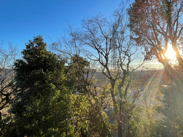 エスポワールAの展望