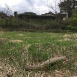 鳥取市鹿野町今市