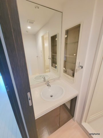 セイワパレス新梅田　仲介手数料無料の洗面所