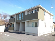 ひなたねこの画像