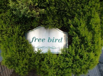【エントランス】 | free bird B棟