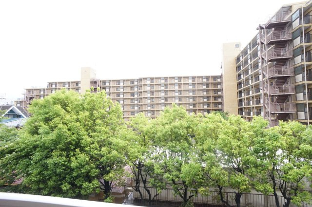 グリーンタウン市川の展望