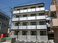 橘の画像
