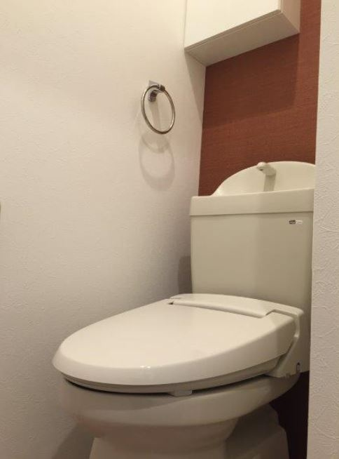 レイナス花絣のトイレ