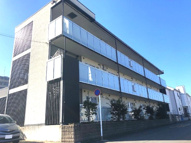 グランステラの画像