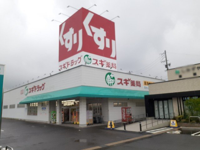 サウスヒルズ緑Ｂの周辺|スギ薬局　清水山店まで699m