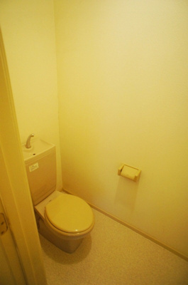 【トイレ】 | アベニール国分A | トイレも気になるポイント