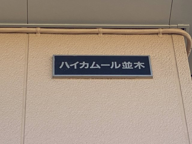 ハイカムール並木のその他