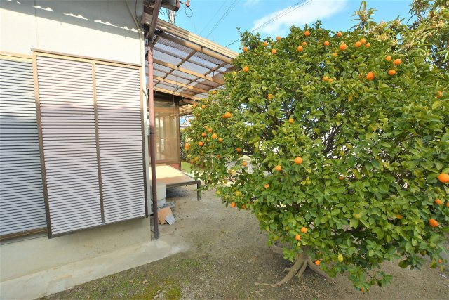 【庭】 | 奈良戸建て