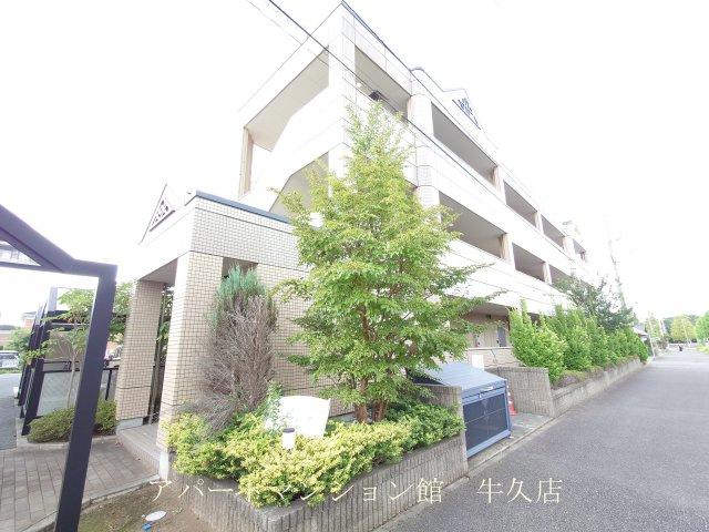 ソアヴィータ