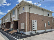 ジェルソミーナの画像