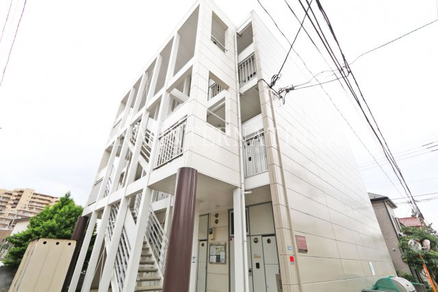 山葵