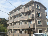 Ｓｅｎｔｉｅｒｏ　杉谷（センティエロスギヤ）の画像