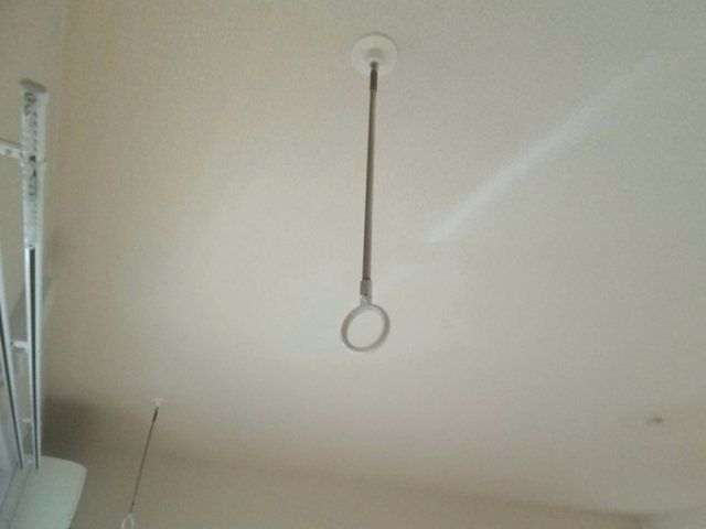 アビエスのその他