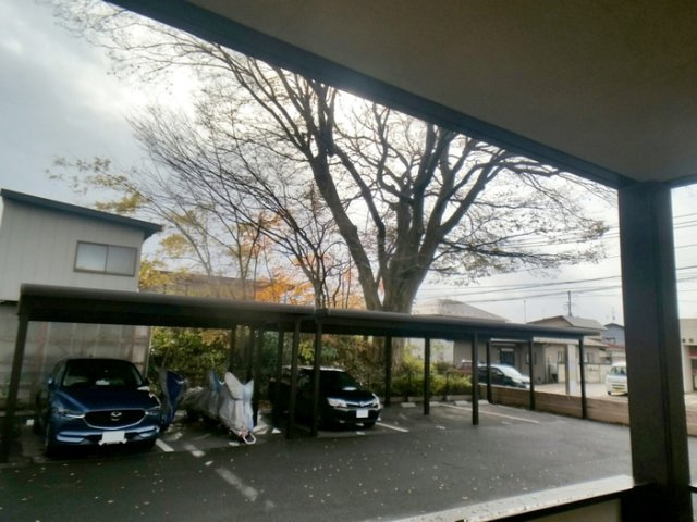 アビエスの展望