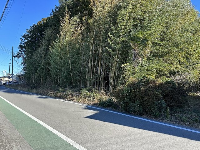 【前面道路含む現地写真】