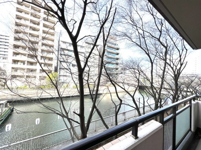 プラタスステージ門前仲町の展望|目の前は桜並木