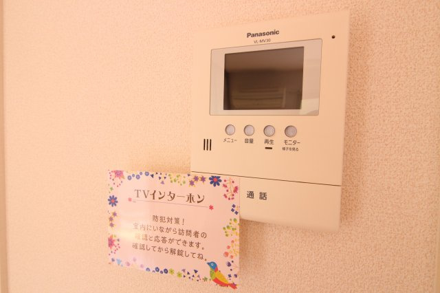 ヴァンドミール流田のセキュリティ