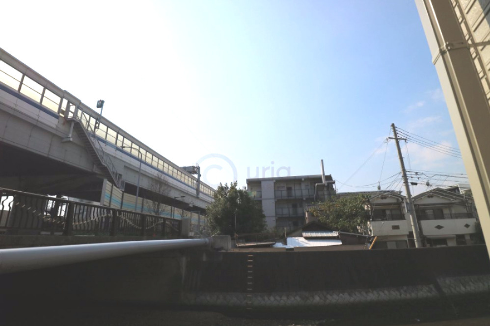 Audreyの展望