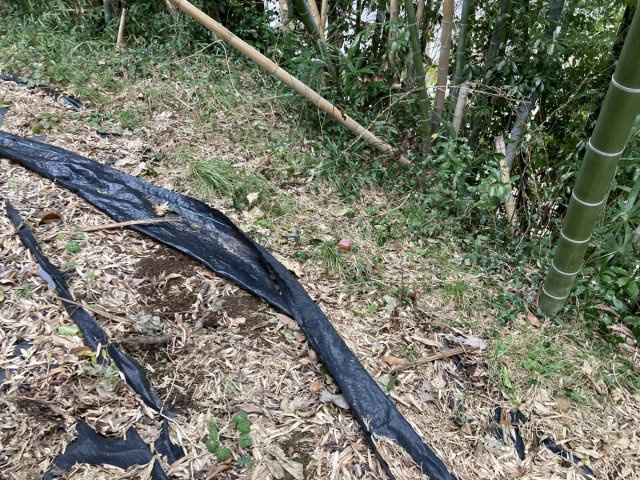 【外観】 | 夏吉土地