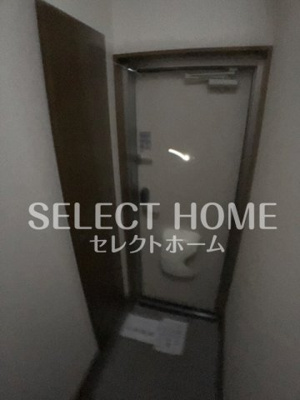  | アンプルールリーブルpaseo
