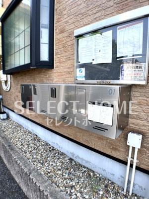  | アンプルールリーブルpaseo