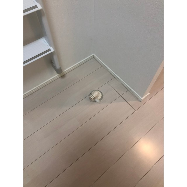 ステージ富久町の設備|洗濯機置き場