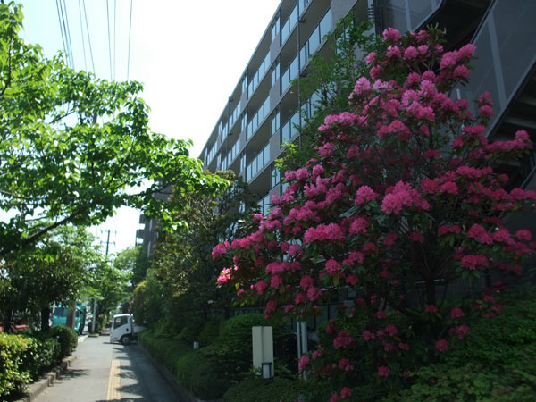 の-の画像