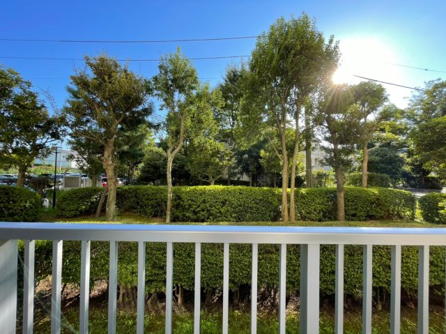 の-の画像