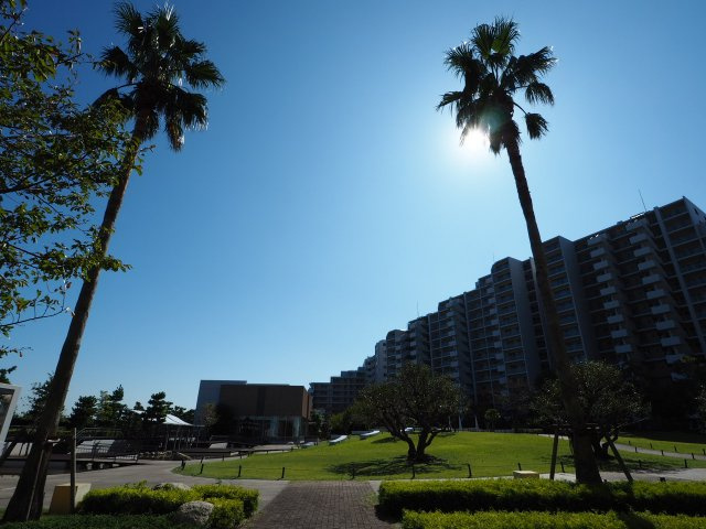 の-の画像