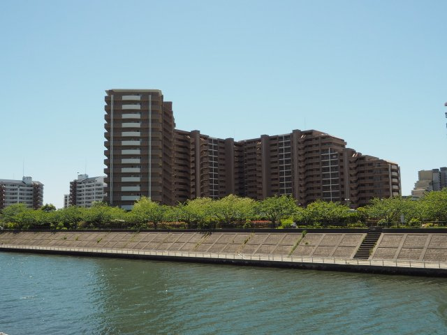 の-の画像