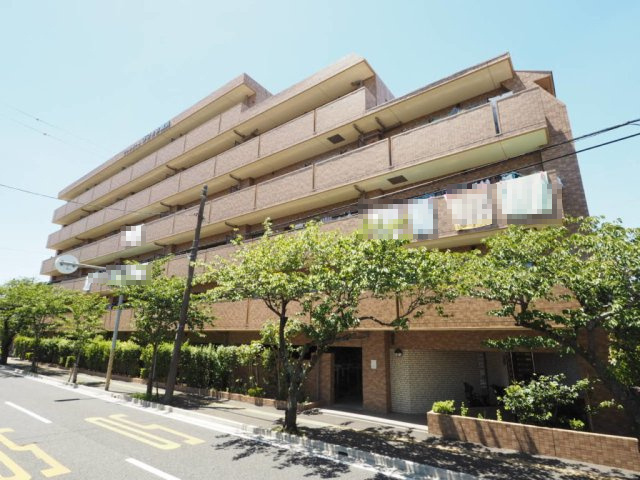 の-の画像