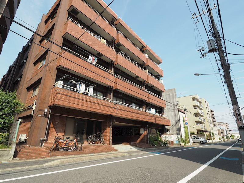 イグレットNo.1の画像