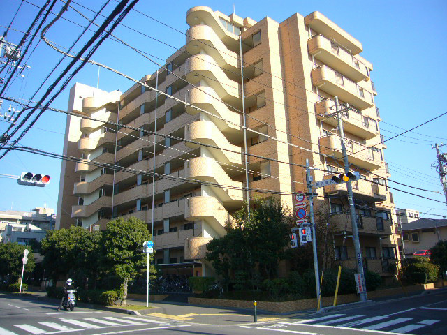 の-の画像
