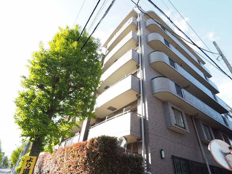の-の画像