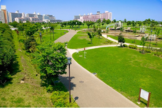 【その他】 | イトーピア東大島 | 近隣公園