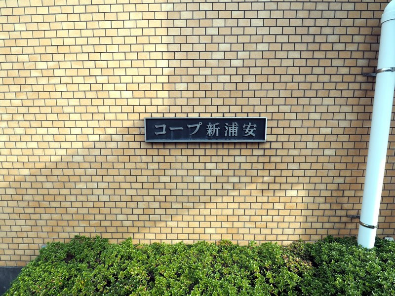 の-の画像