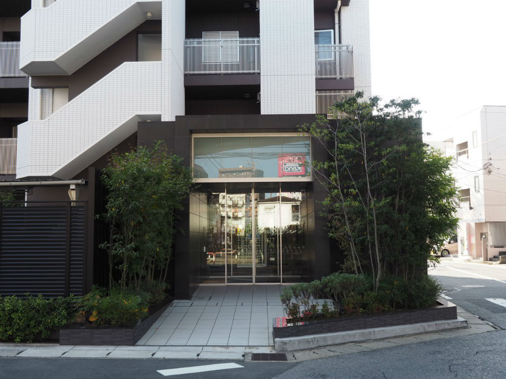 の-の画像