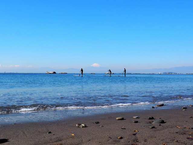 海まで数歩で出られるオーシャンフロント　プライム葉山　1F部分の周辺