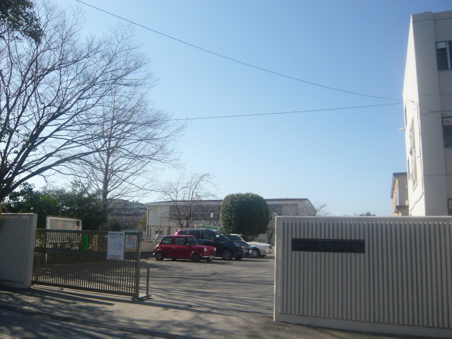 の-の画像