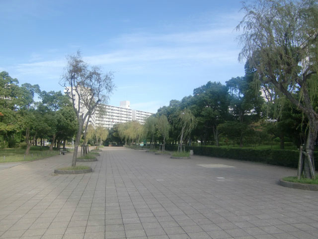 の-の画像